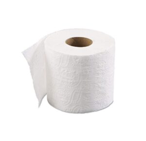 102527 PAPIER HYGIÉNIQUE PURE VALUE 48 X 500F 2 PLIS
