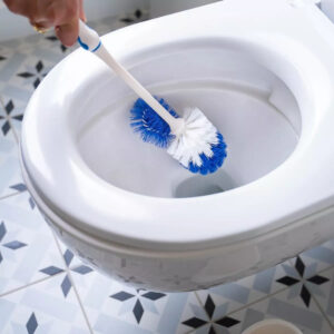 Accessoires de nettoyage pour toilettes